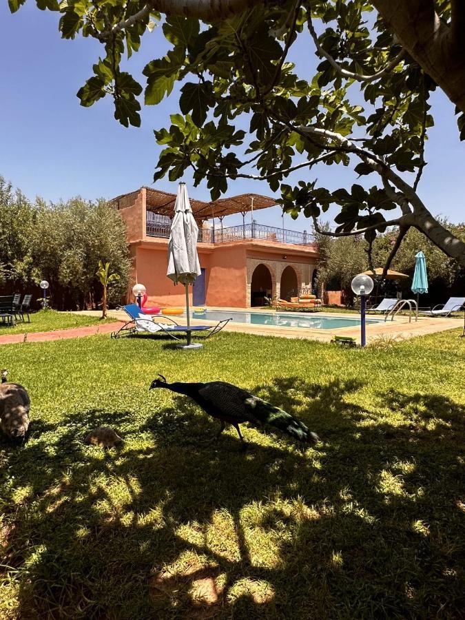 Villa Ms Holidays Mika Privatisee Marrakech 마라케시 외부 사진