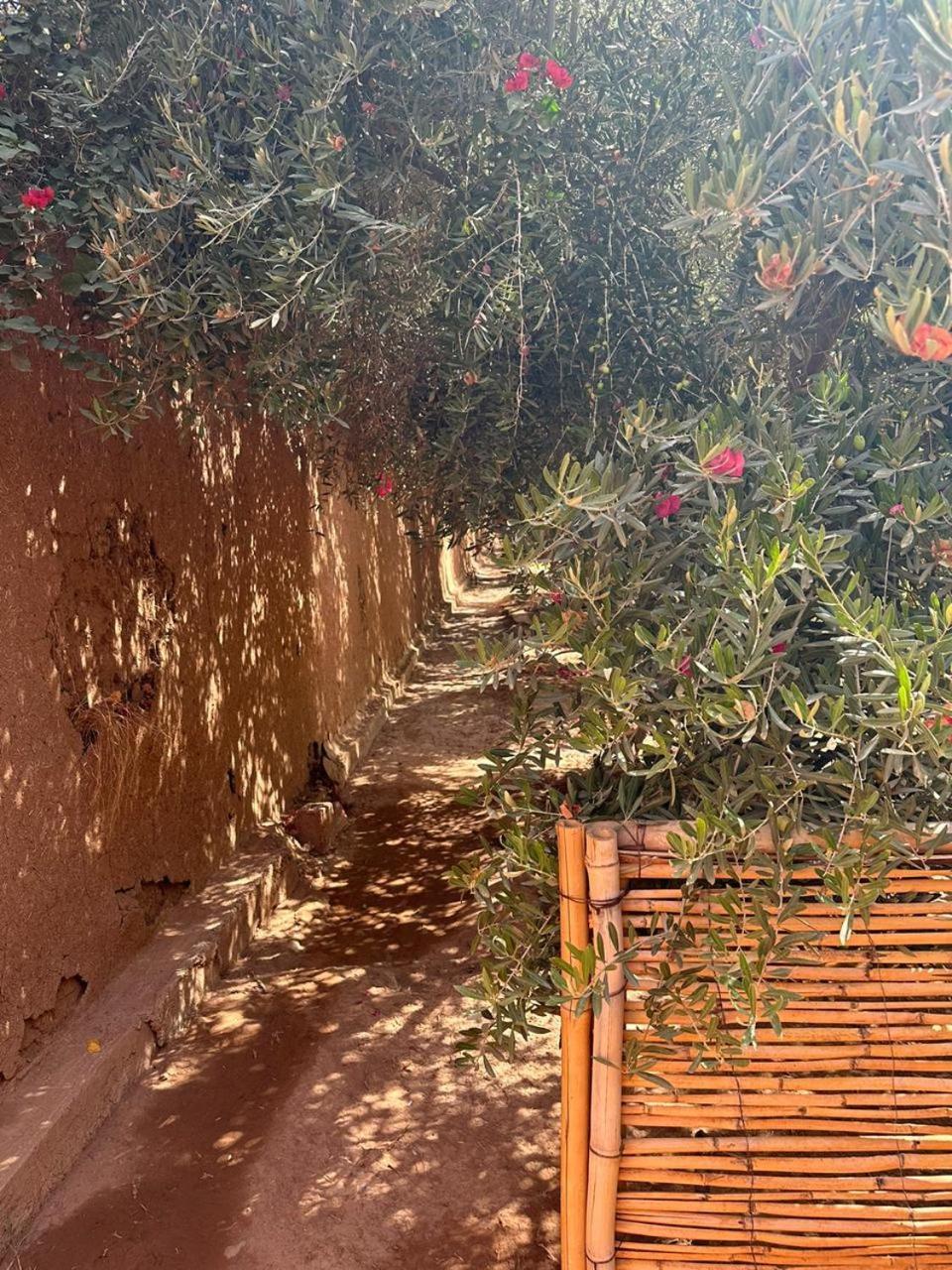 Villa Ms Holidays Mika Privatisee Marrakech 마라케시 외부 사진