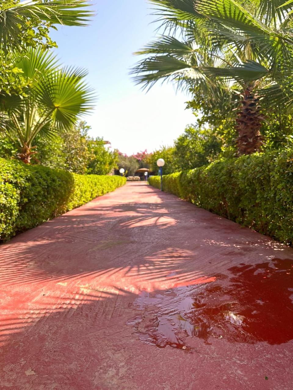 Villa Ms Holidays Mika Privatisee Marrakech 마라케시 외부 사진