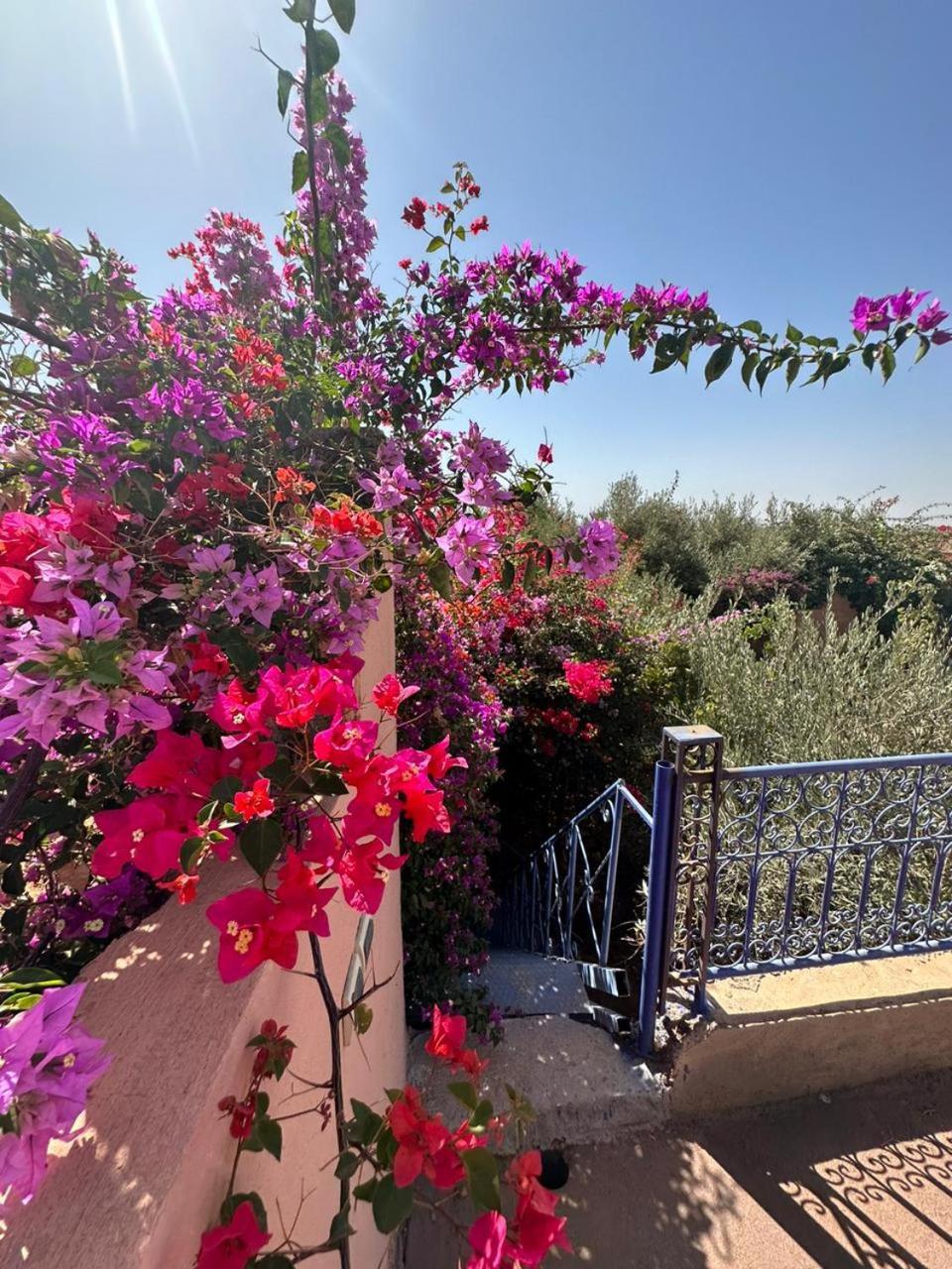 Villa Ms Holidays Mika Privatisee Marrakech 마라케시 외부 사진
